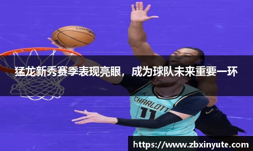 猛龙新秀赛季表现亮眼，成为球队未来重要一环