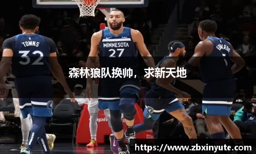 森林狼队换帅，求新天地