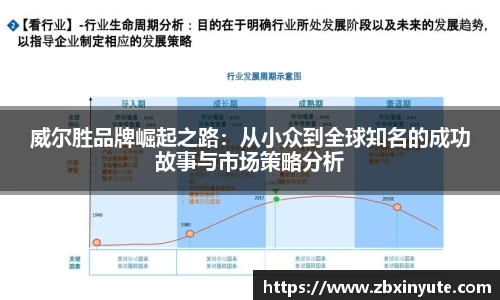 威尔胜品牌崛起之路：从小众到全球知名的成功故事与市场策略分析